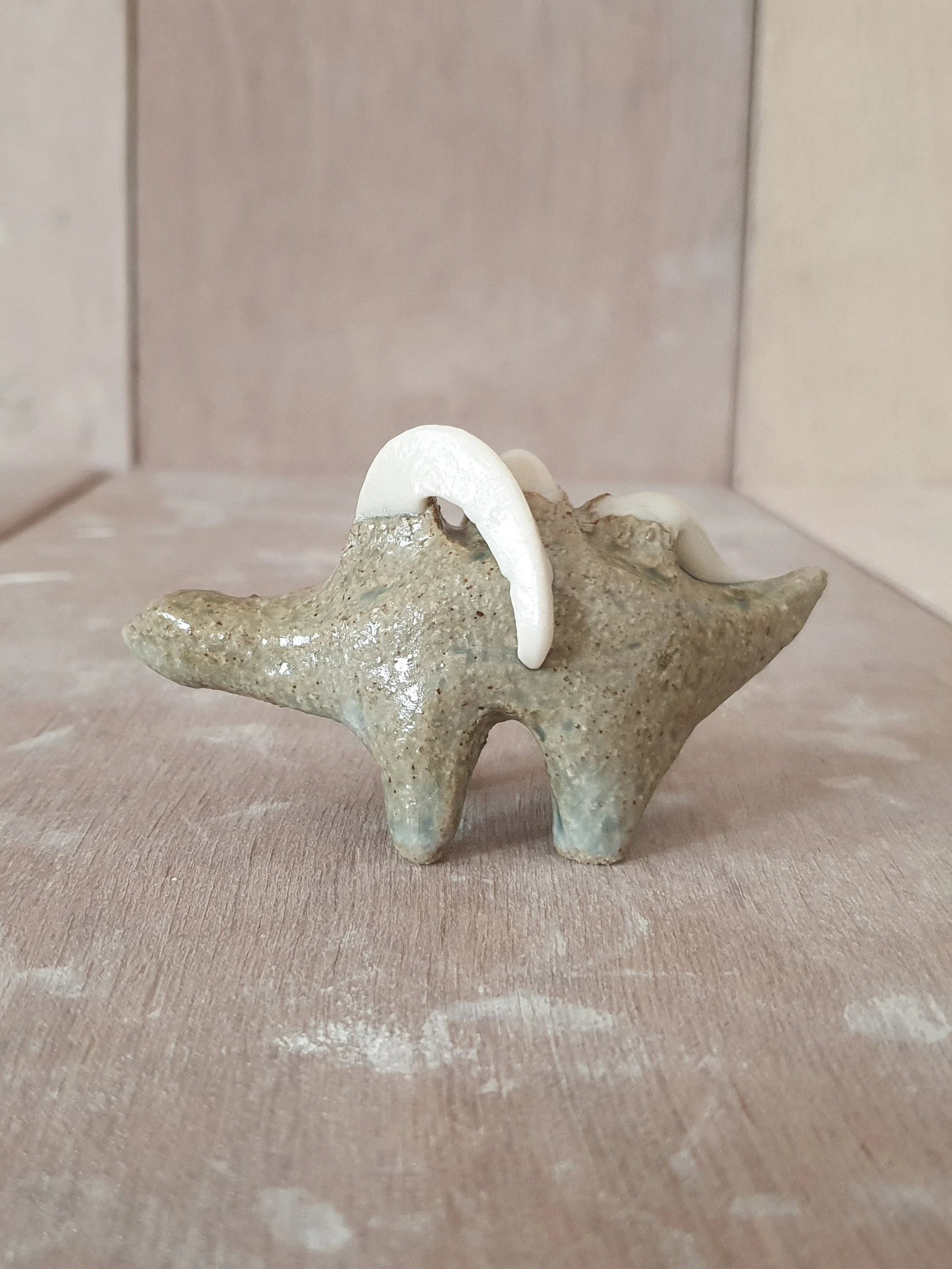 Conesaur 16 v.jpg