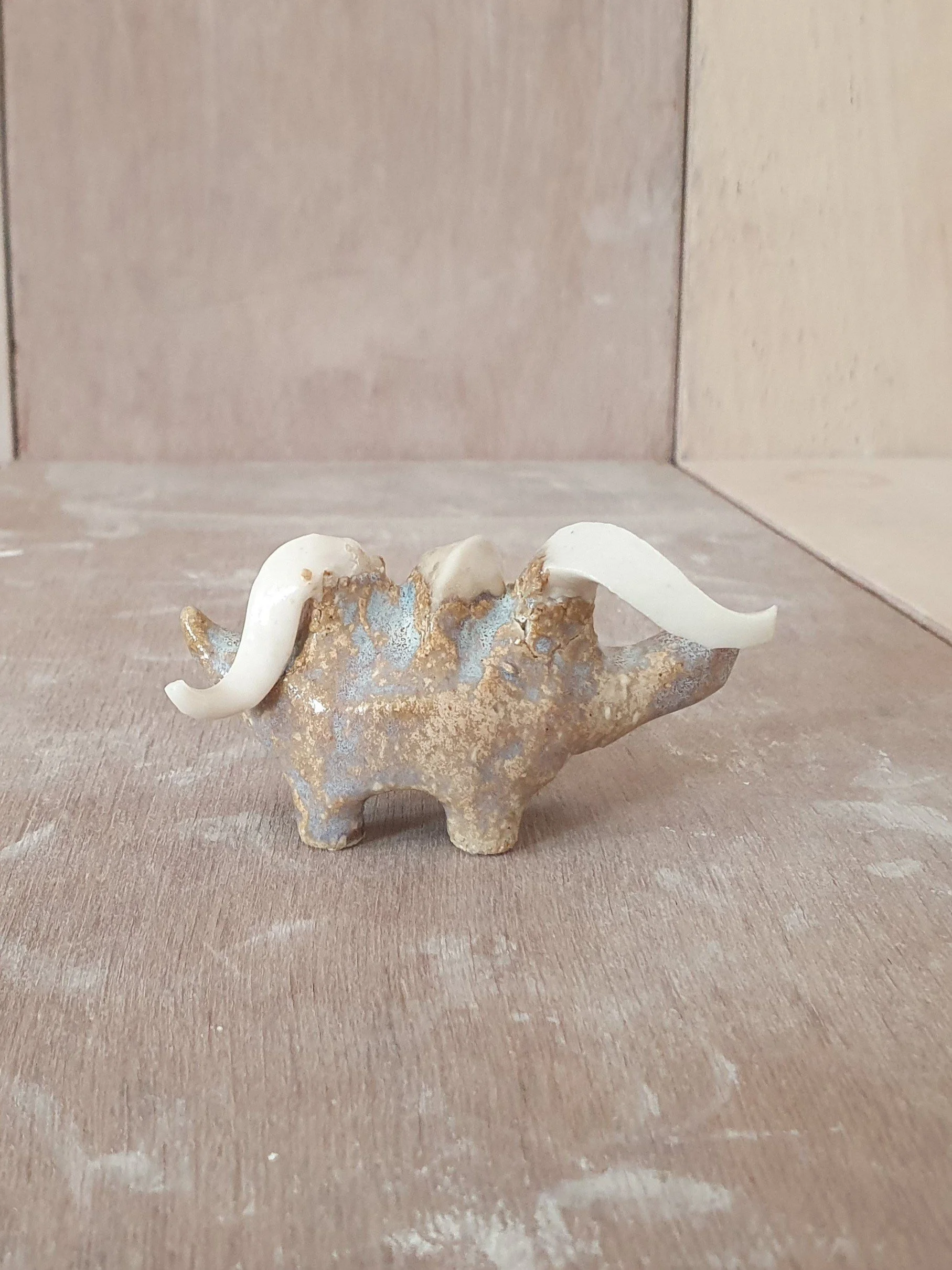 Conesaur 11 i.jpg