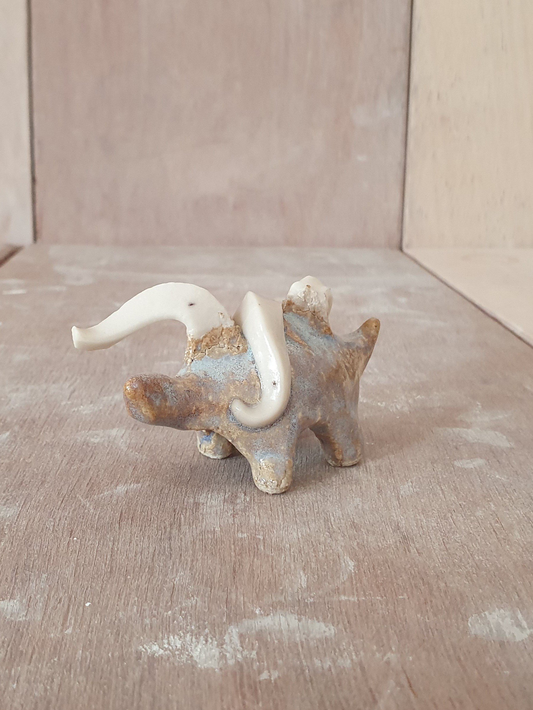 11. Conesaur