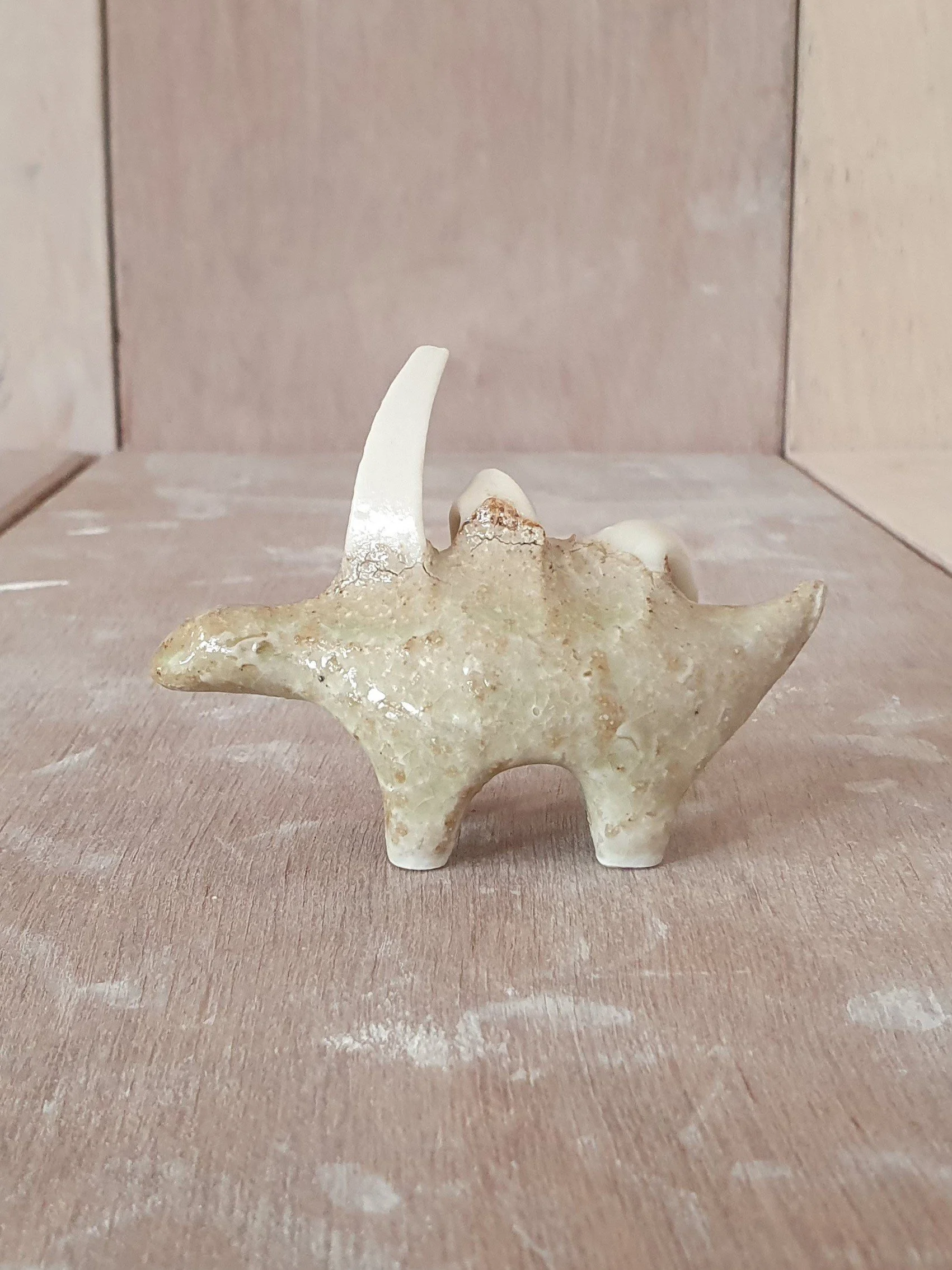 Conesaur 15 iv.jpg
