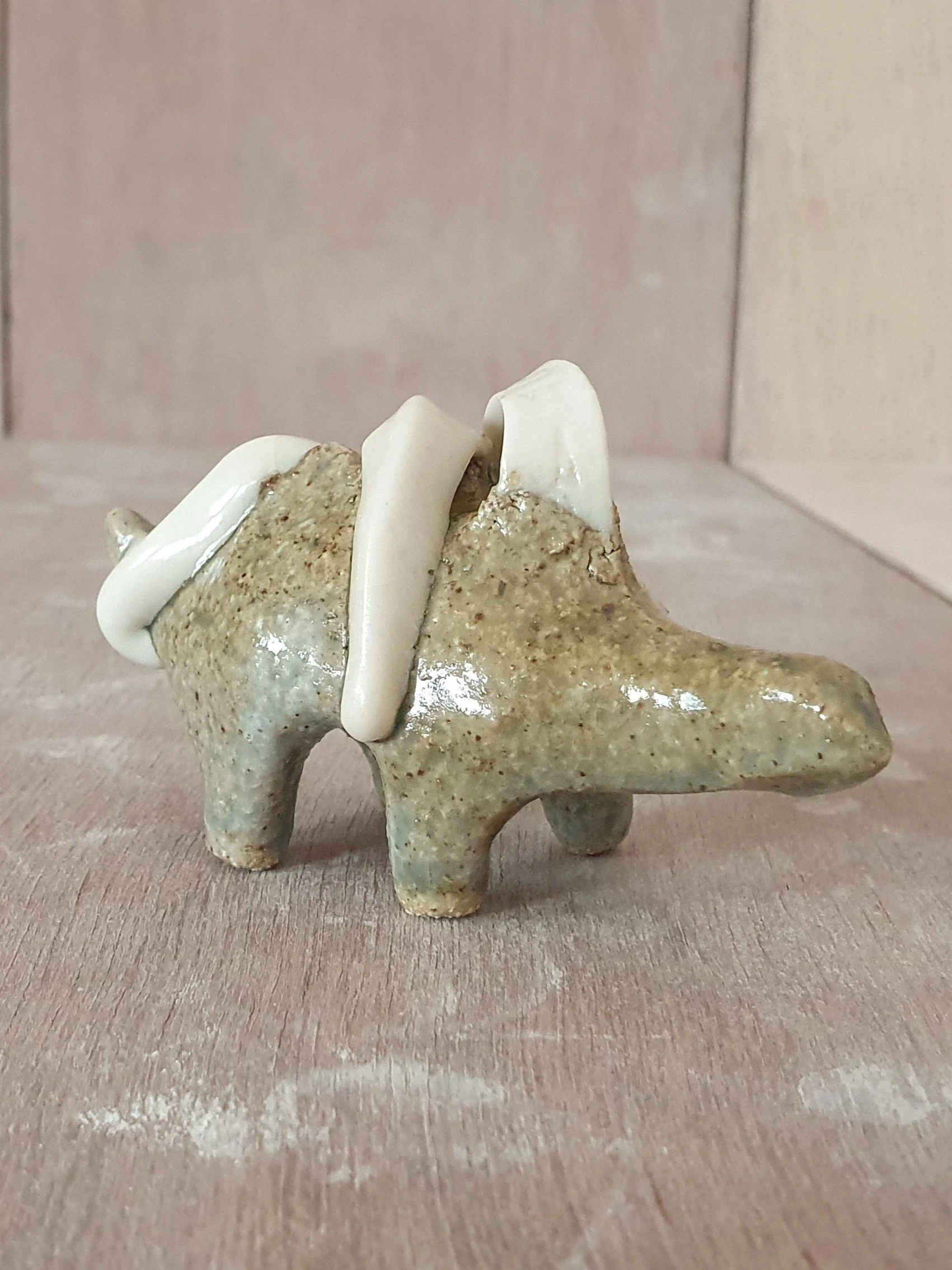 16. Conesaur