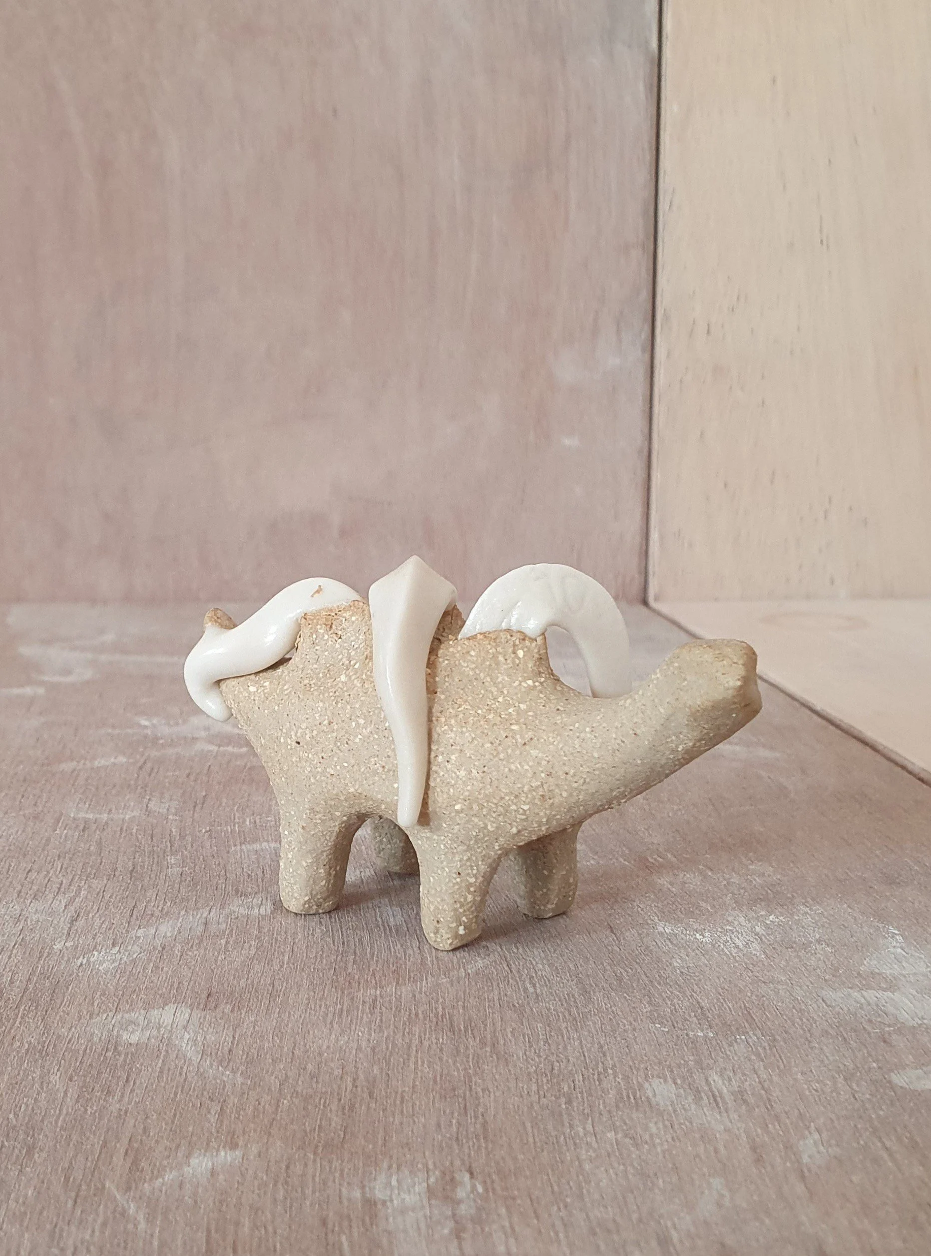 Conesaur 4 i.jpg