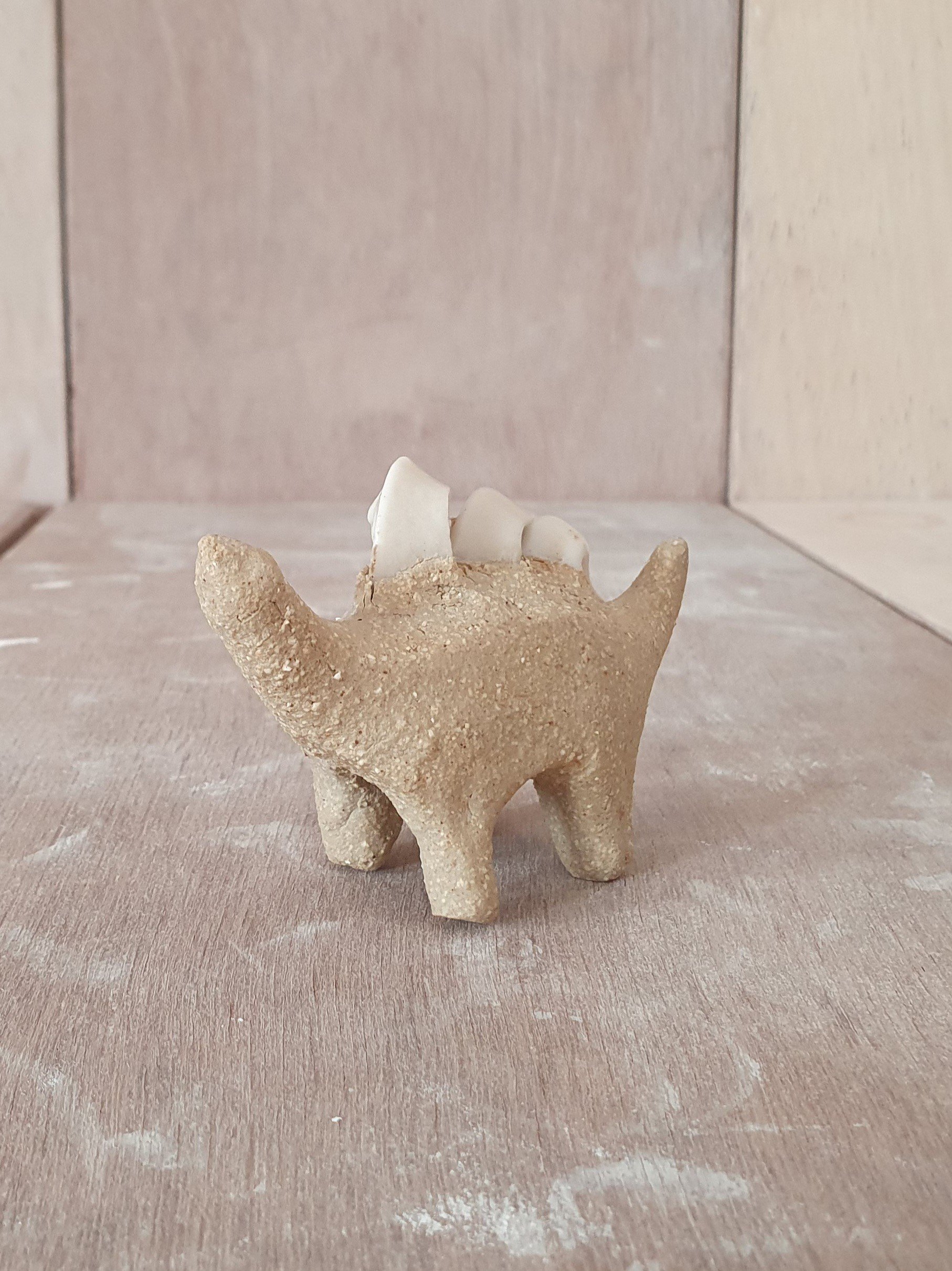 6. Conesaur