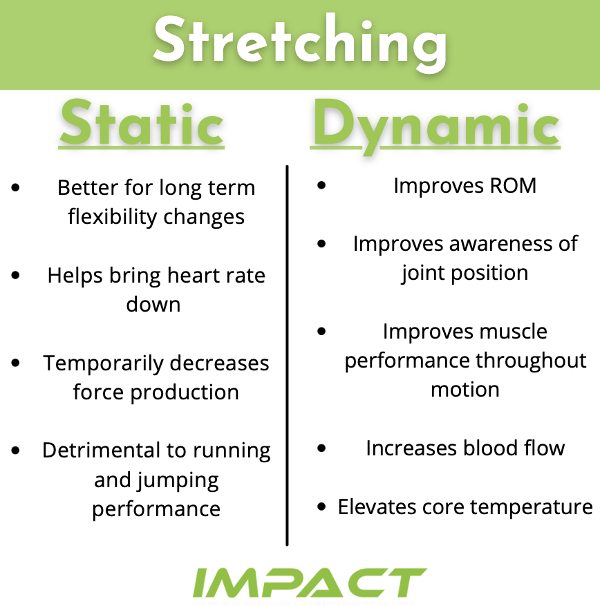 What Is Static And Dynamic _ Dynamic Vs Static – PNJHGF