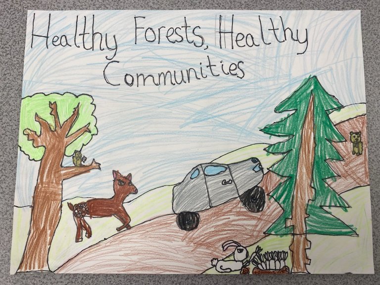 Healthy Forests, Healthy Communities