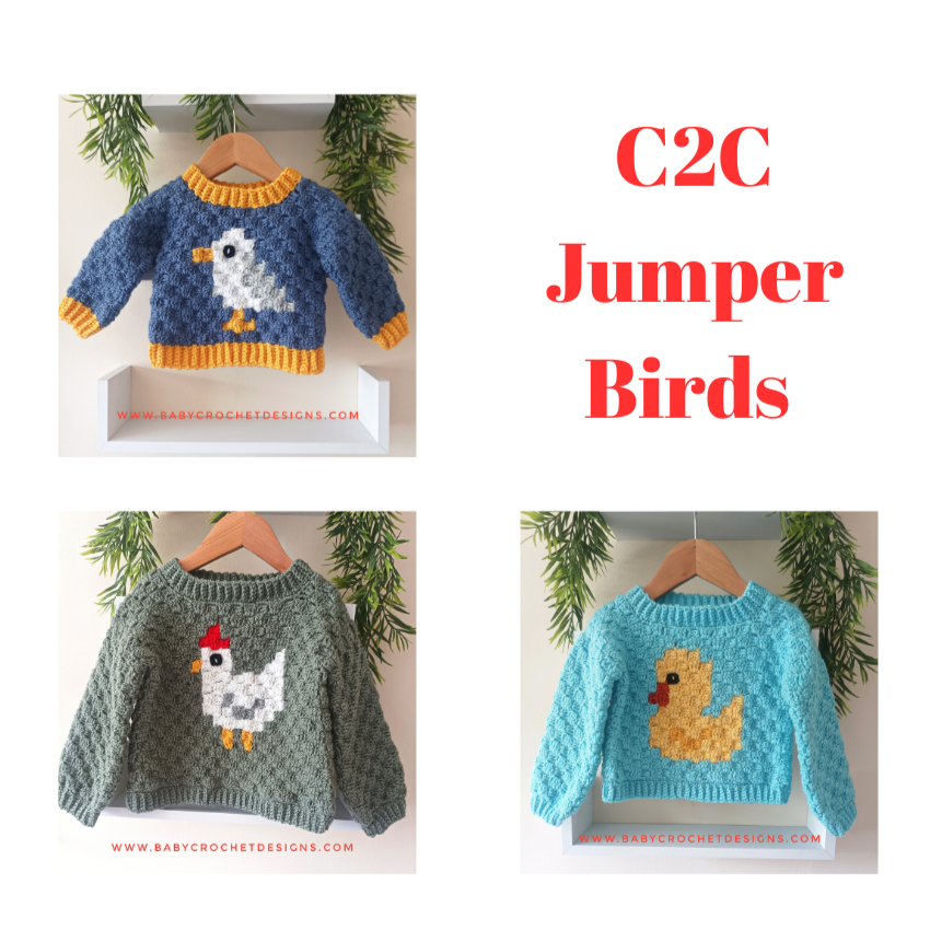 C2C Jumper Birds