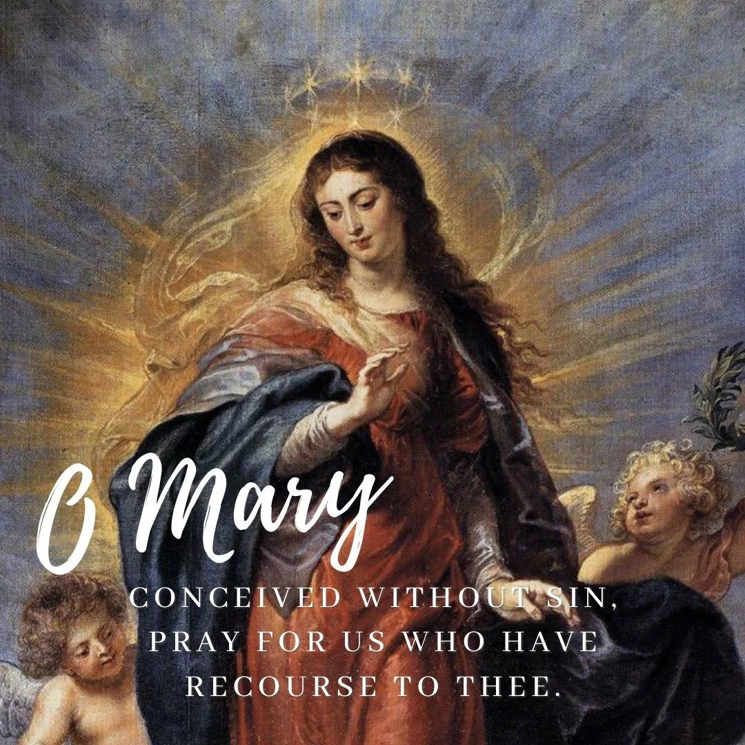Today the Church celebrates the Solemnity of the Immaculate Conception! 

Oh most holy and all pure Mother of God, pray for all your children and lead us to your Son, our Lord and Christ.