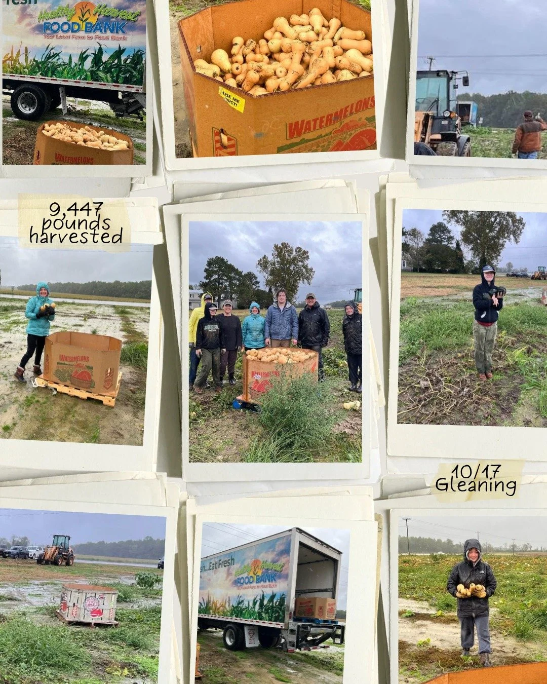 Thank you to our volunteers who joyfully served in the rain on Saturday morning to glean 9,447 pounds of squash to be given to those experiencing food insecurity. CBC Gleaning opportunities are a partnership with Catholic Charities St. Lucy Project a