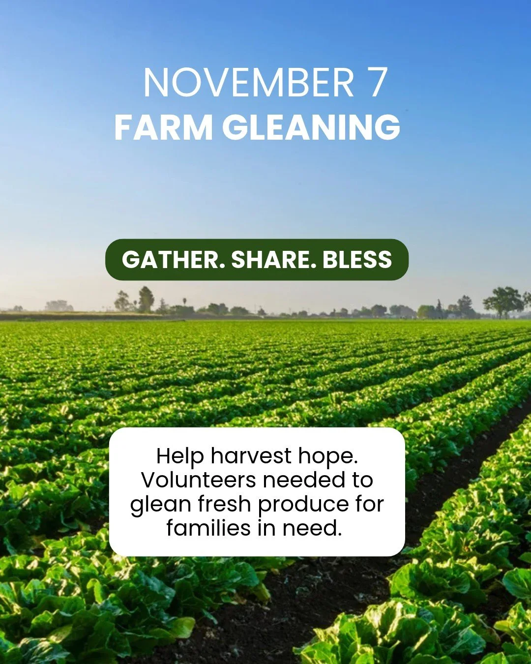 Help turn a day in the fields into fresh food for families in need! Join Commissioned by Christ for a morning of gleaning, collecting fresh produce and helping get it to local families through Catholic Charities&rsquo; St. Lucy Project.

It&rsquo;s a