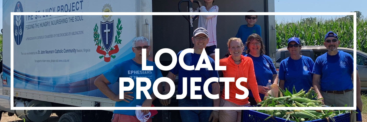 Northern Virginia Washington DC Local Catholic Mission Trips ...