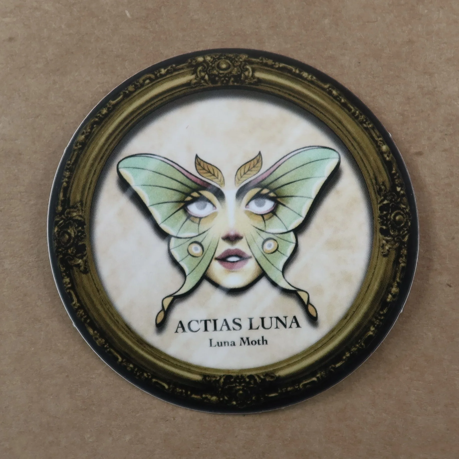 IMG_1372.jpeg (Copy)