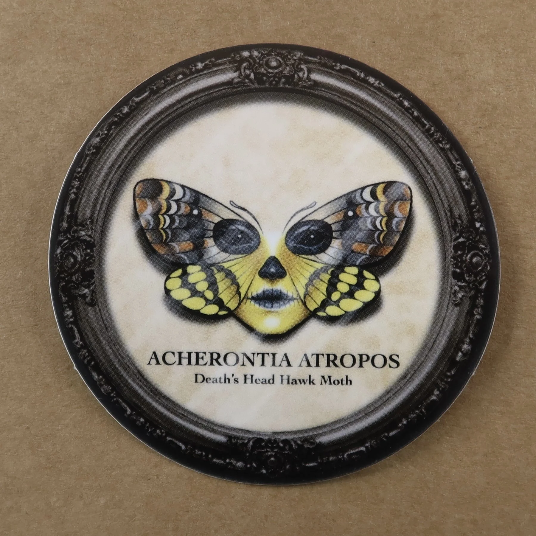 IMG_1299.jpeg (Copy)