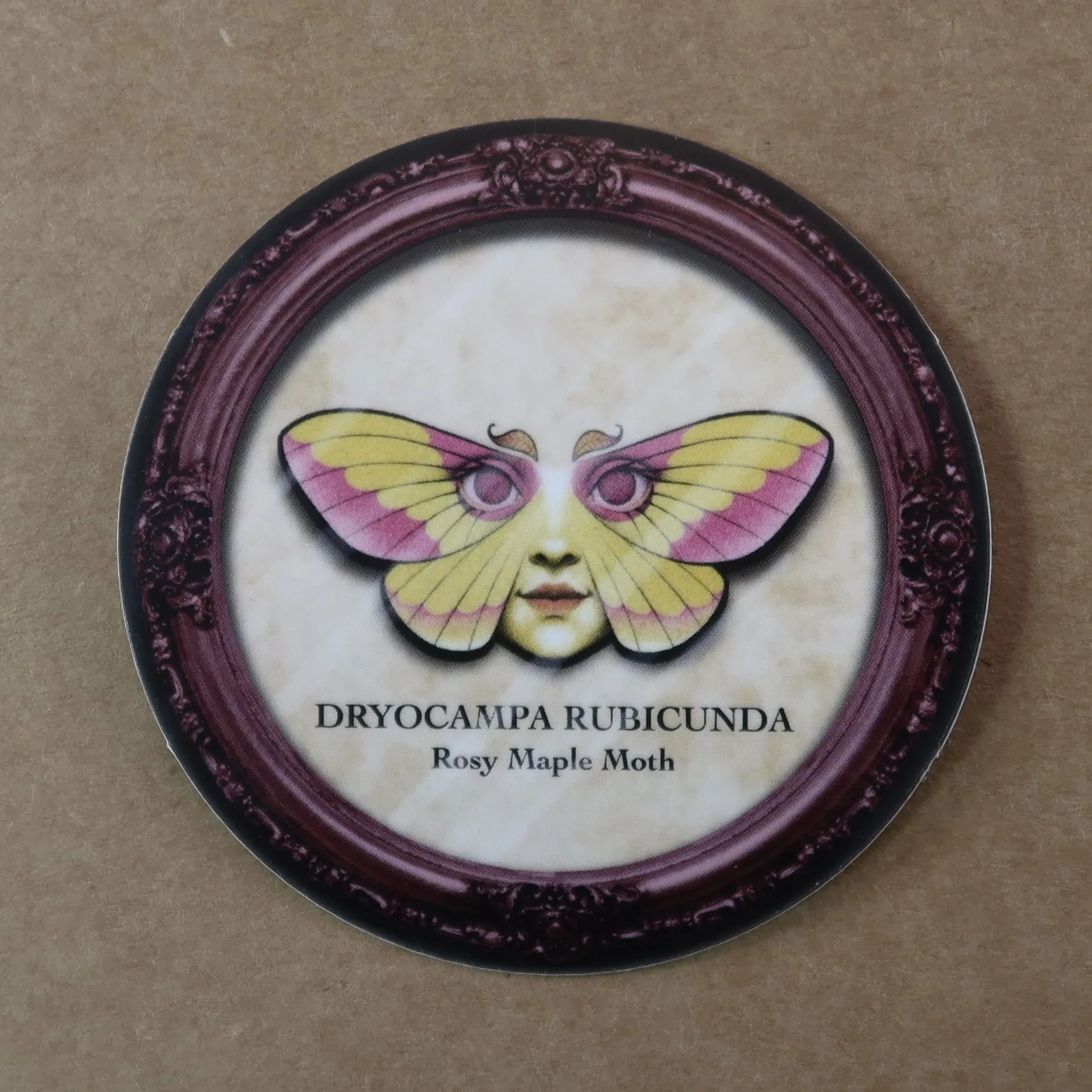 IMG_1327.jpeg (Copy)