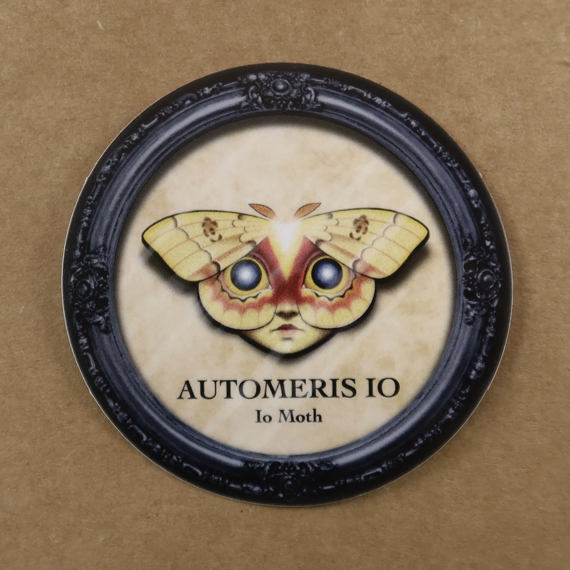 IMG_1416.jpeg (Copy)