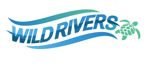 Board Member