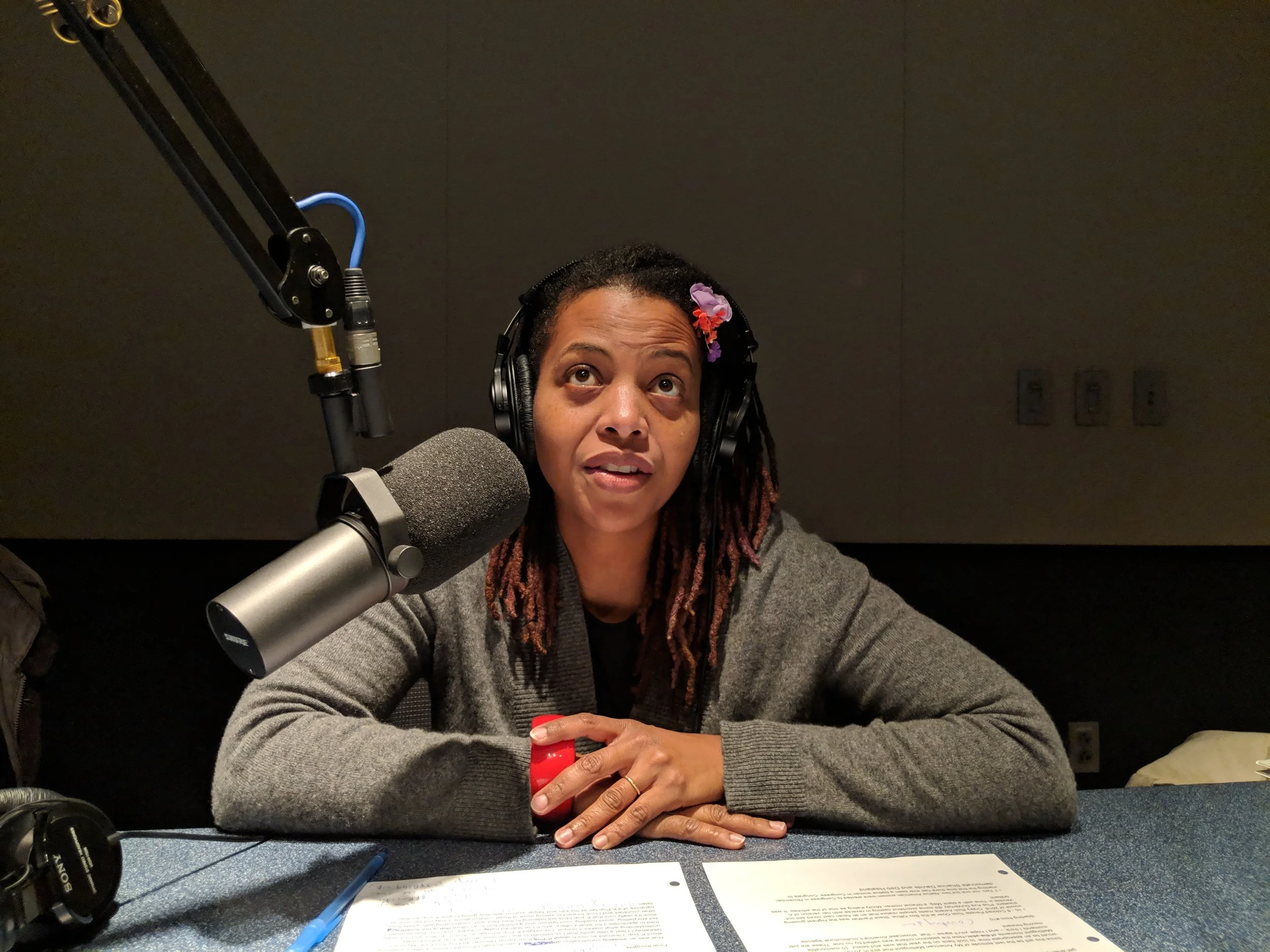 Lori L. Tharps an on air expert