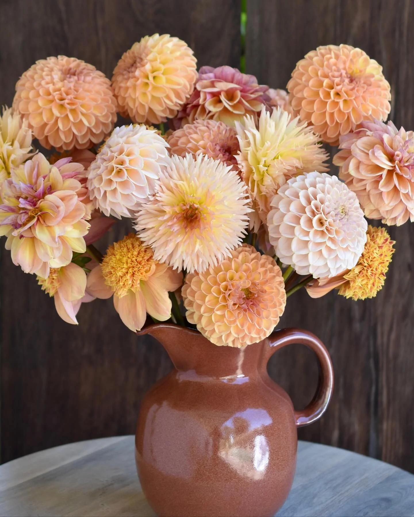 The dahlias are beginning to wind down for the season, but I&rsquo;m still harvesting bucketfuls of gorgeous blooms. Hoping to keep the flower stand open for another couple of weeks&hellip;🧡

Beauties pictured:
Valley Tawny
Lakeview Peach Fuzz
Sandi