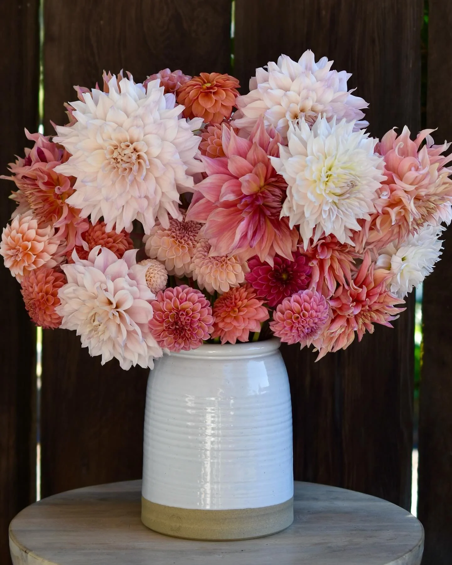 October dahlias 🤍

#fallflowers #dahlia #cutflowers #sonomacounty #flowerstand #farmhousepottery #ayearinflowers #cakeflowerfarm