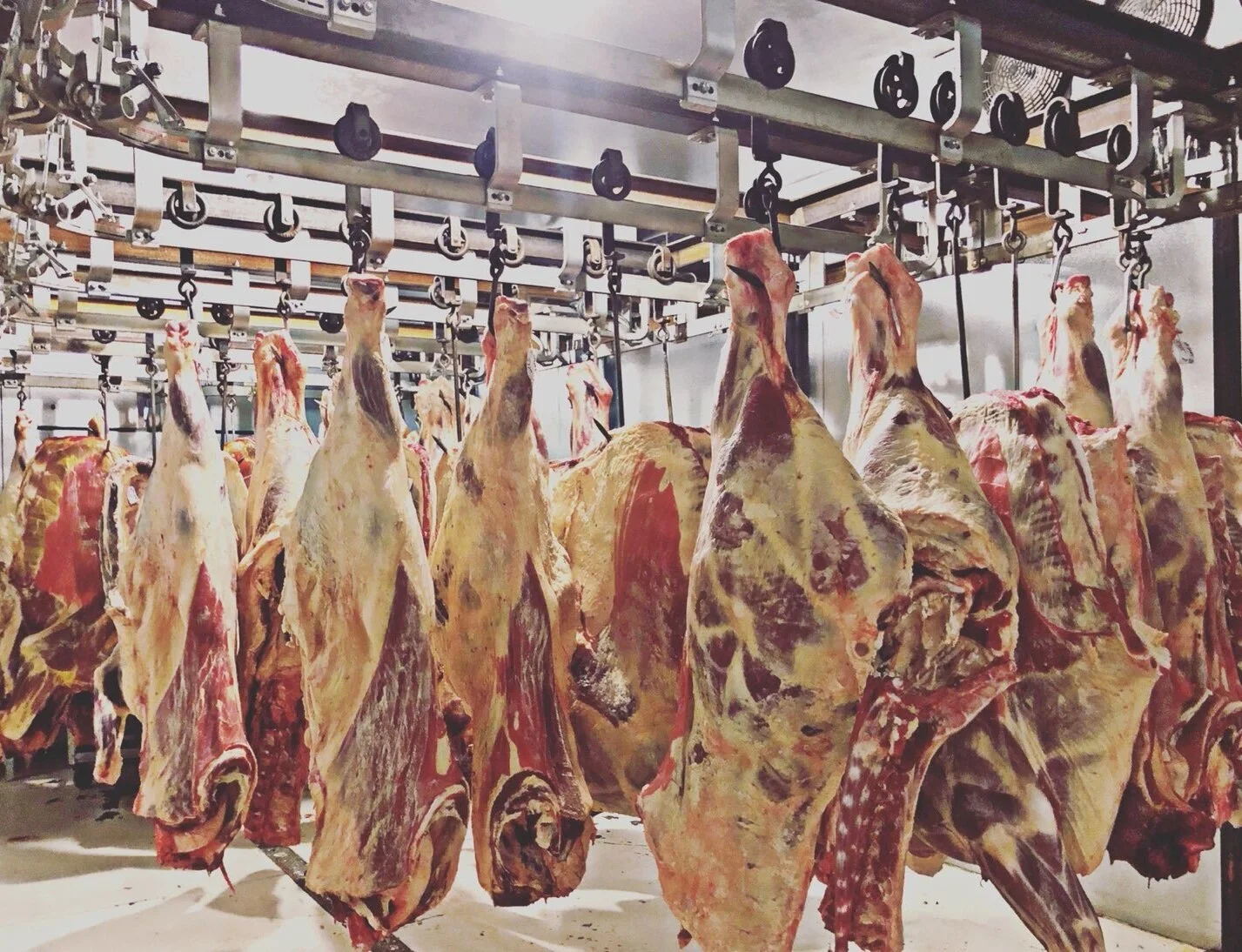 Ranchers Meats & Custom Butchering
