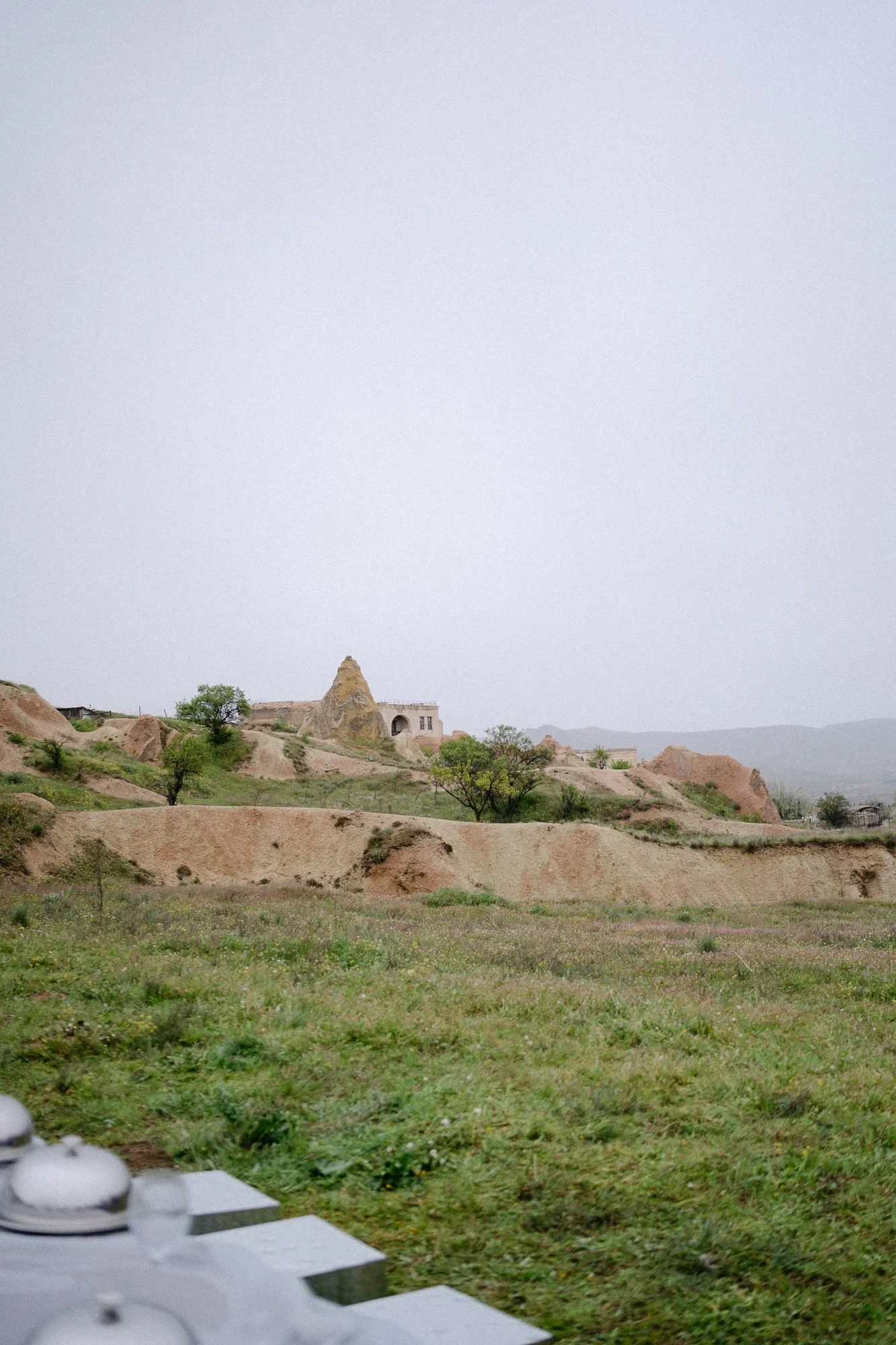 Wide Cappadocia landscape with single tree — destination wedding photography