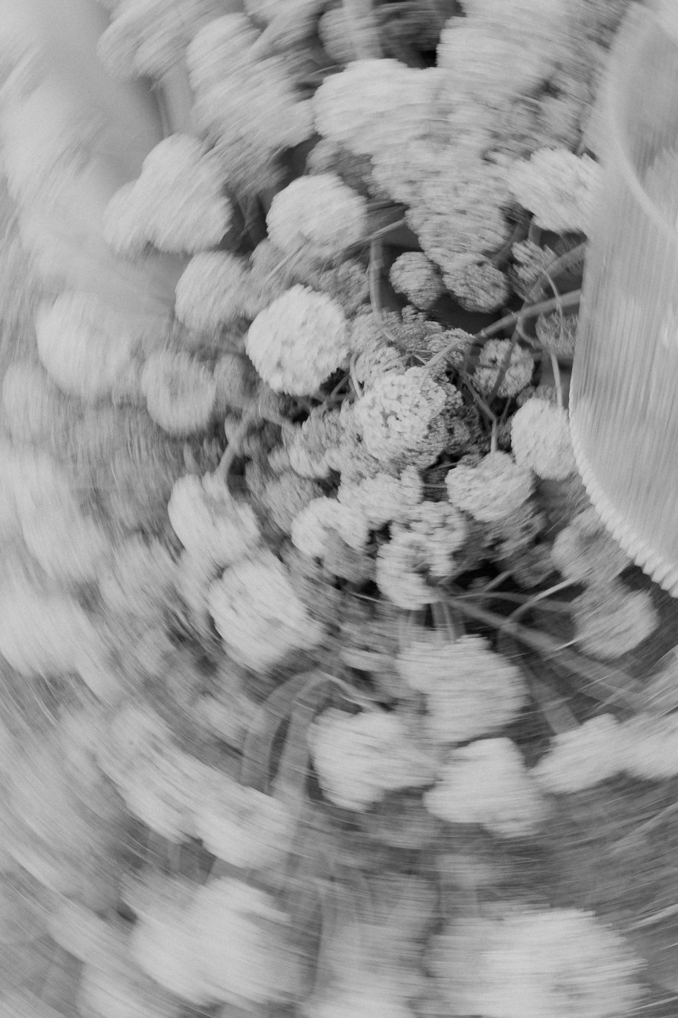Black and white overhead shot of white wedding bouquet — wedding detail photography