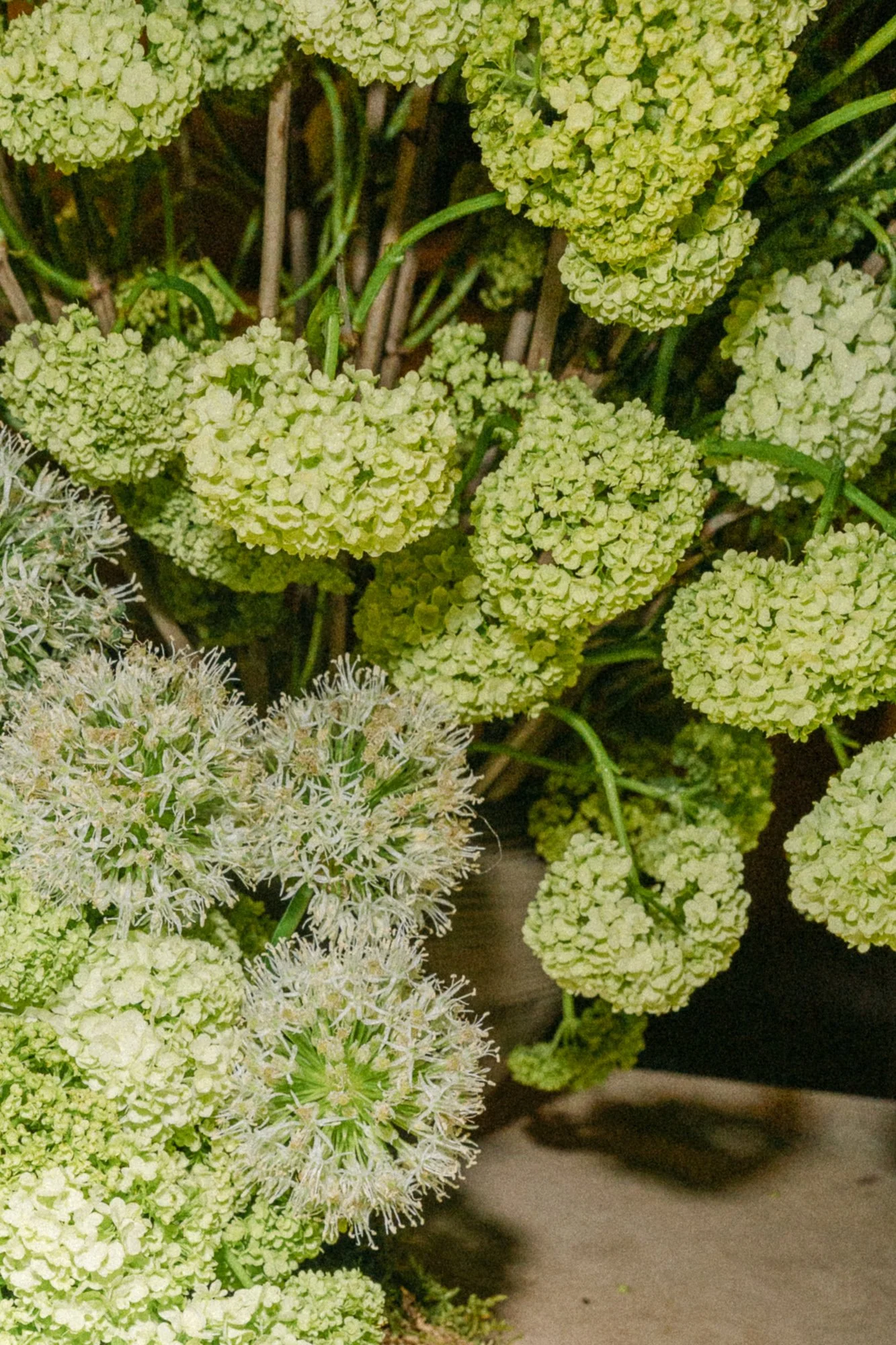 Seasonal floral arrangement with white blooms — wedding detail photography