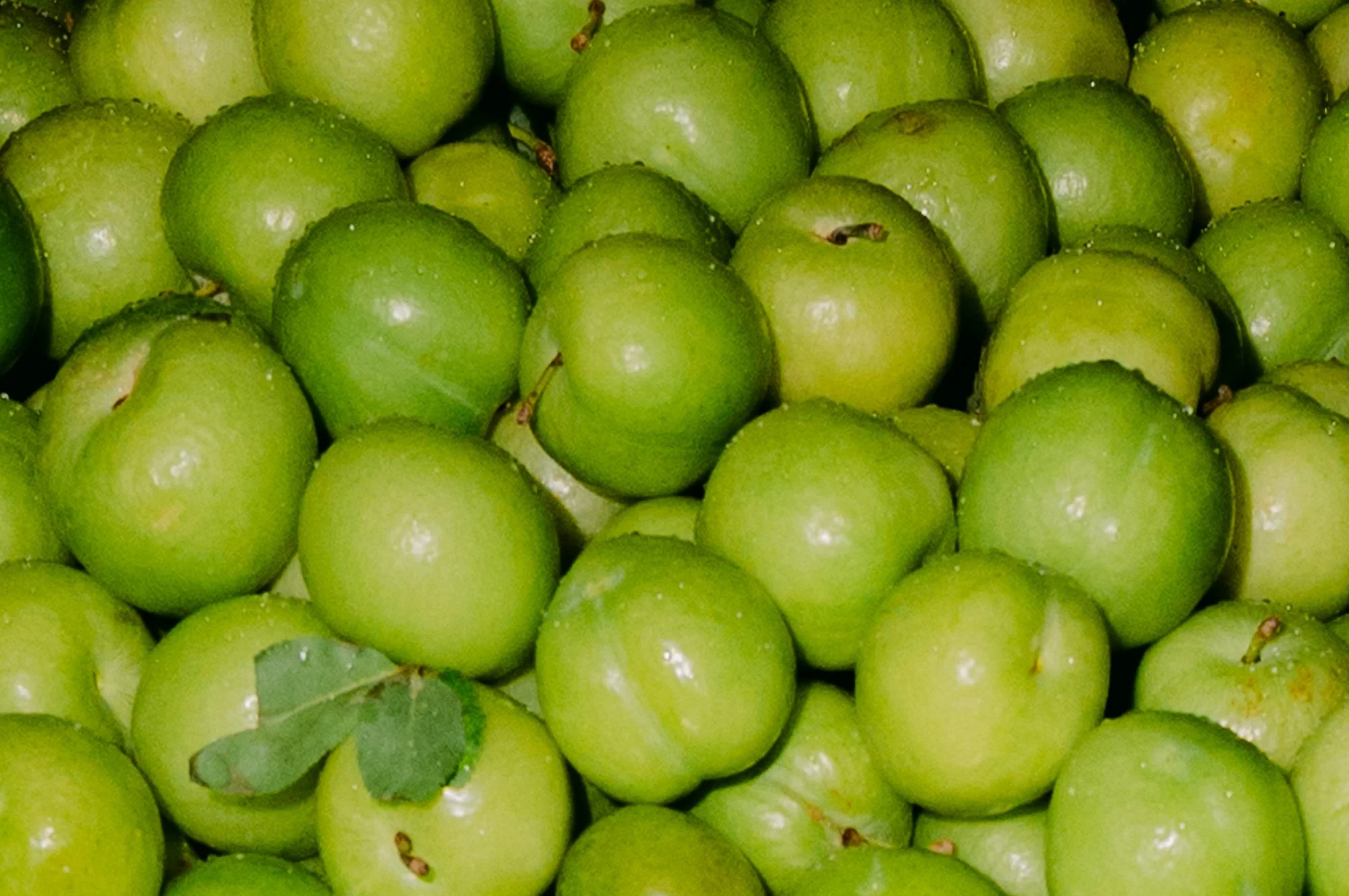 Close-up of green apples in a bowl — wedding detail photography Cappadocia