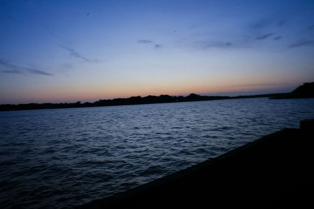 DSC00238.jpg