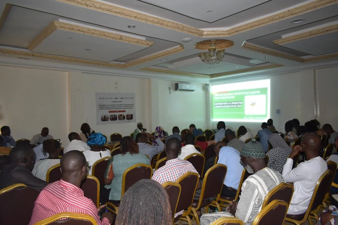 The Future of Africa’s Food and Agricultural System