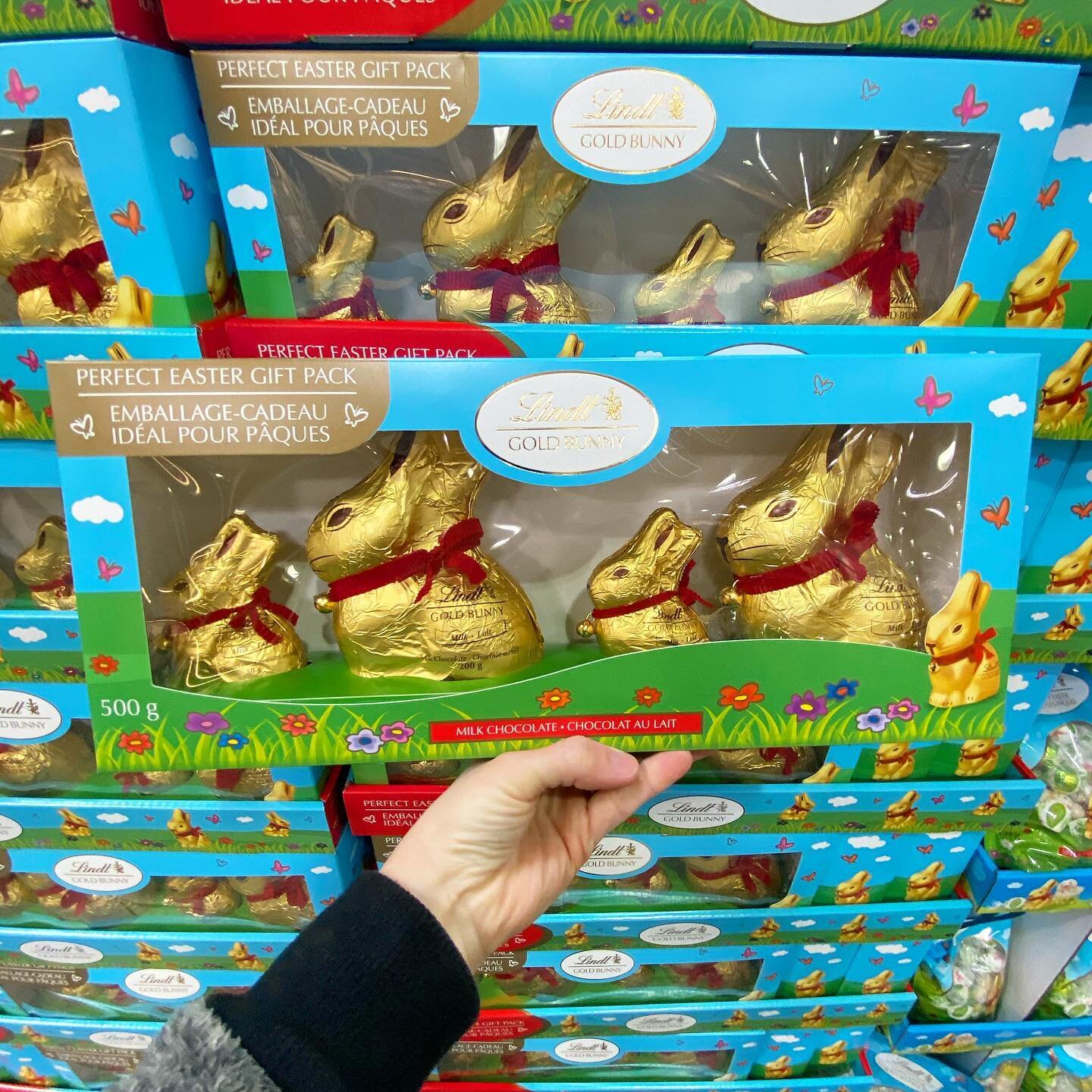 Gold Bunny 4-Pack from @lindtcanada - includes two large bunnies and two small bunnies. Great for Easter baskets! Price $18.79 📍Vaughan Colossus 
#costco #costcofindscanada #costcofinds #costcohaul #costcobuys #costcodelights #costcodeals #costcowho