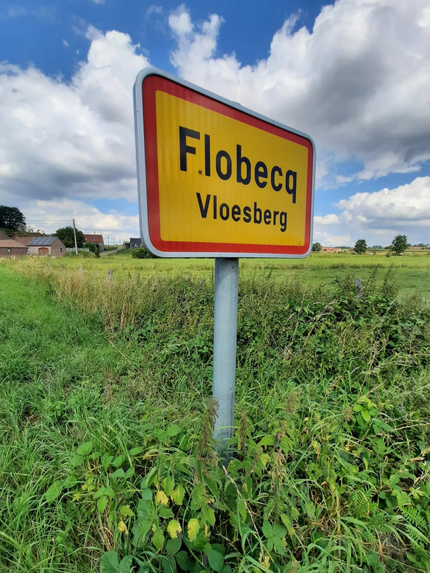 flobord.jpeg