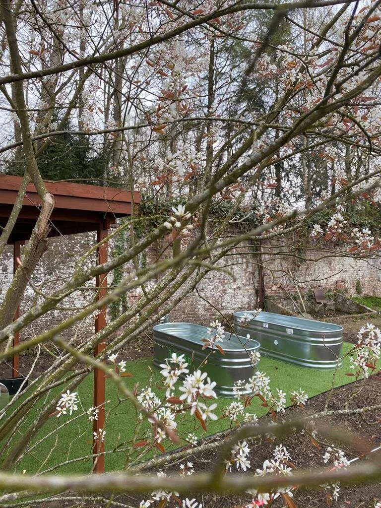 WhatsApp Image 2021-04-14 at 20.47.58 (2).jpeg