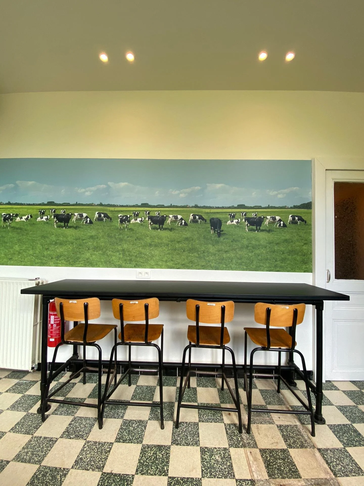 WhatsApp Image 2021-05-08 at 18.26.48.jpeg