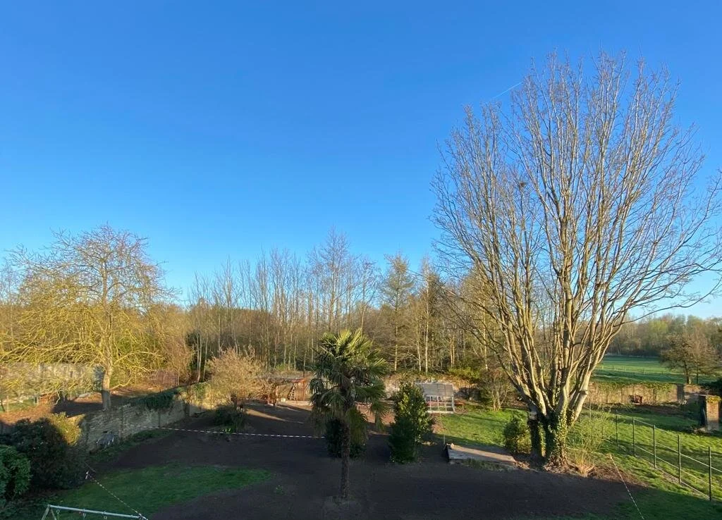 WhatsApp Image 2021-04-14 at 21.09.31.jpeg