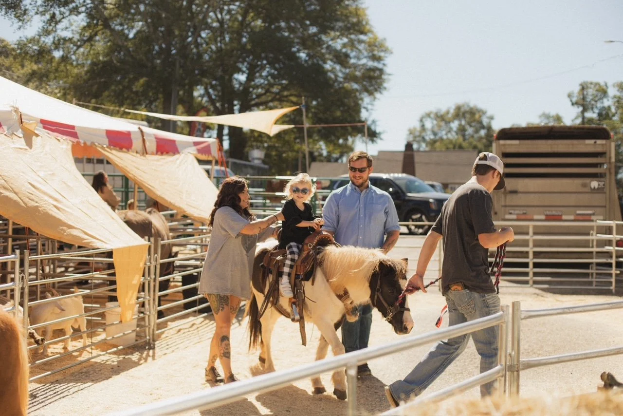 Hogansville Hummingbird Festival (Day 2)