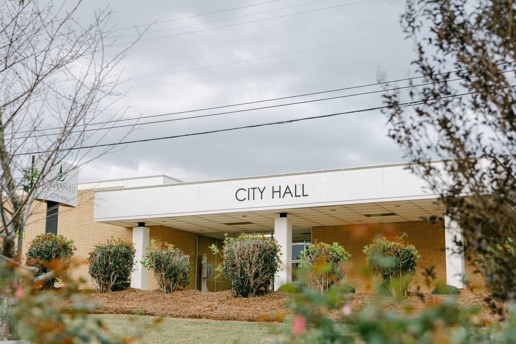 Exterior view of Decatur City Hall building with bushes and trees in front, under a cloudy sky.