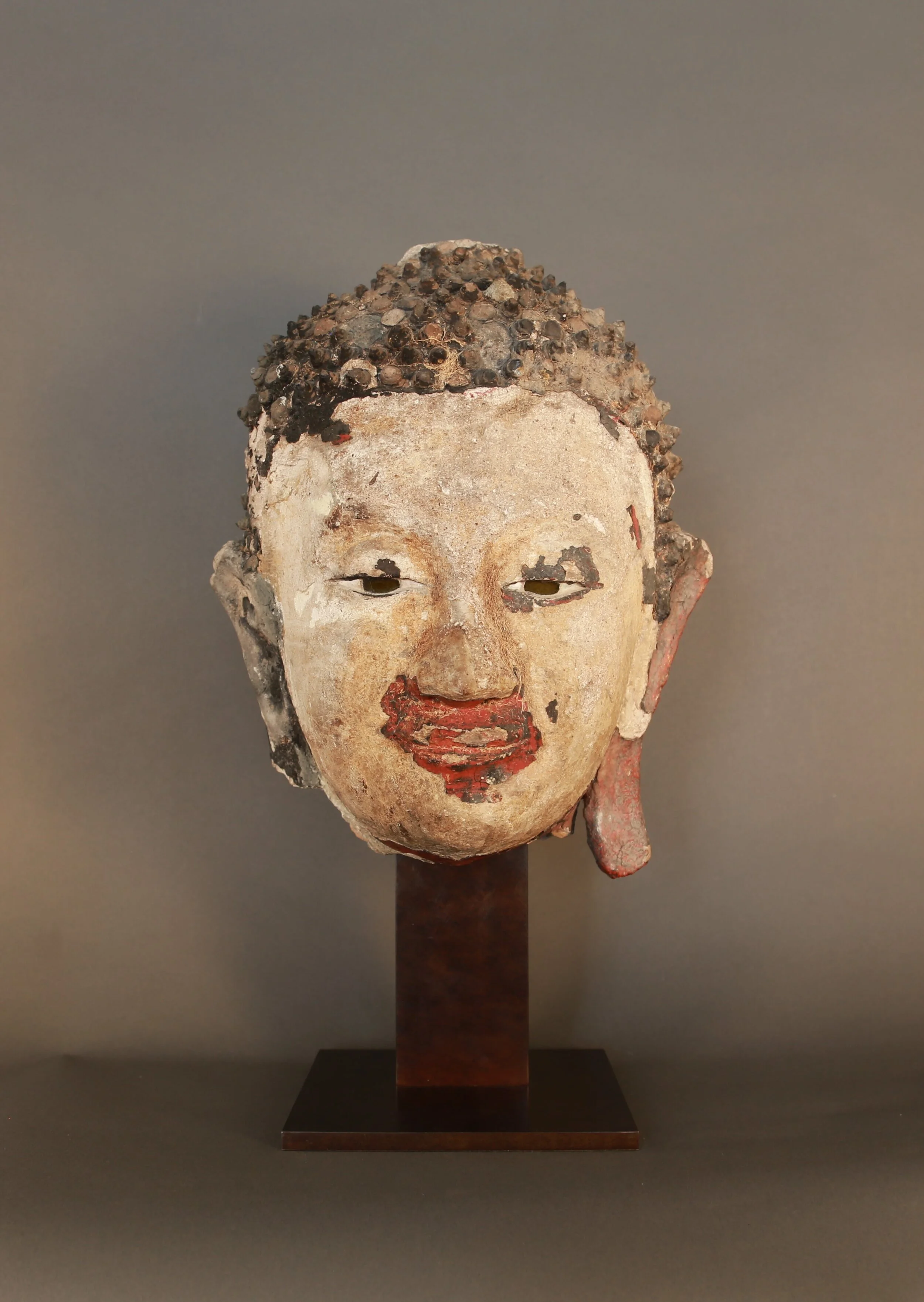 P654_A 300dpi-poly.jpg