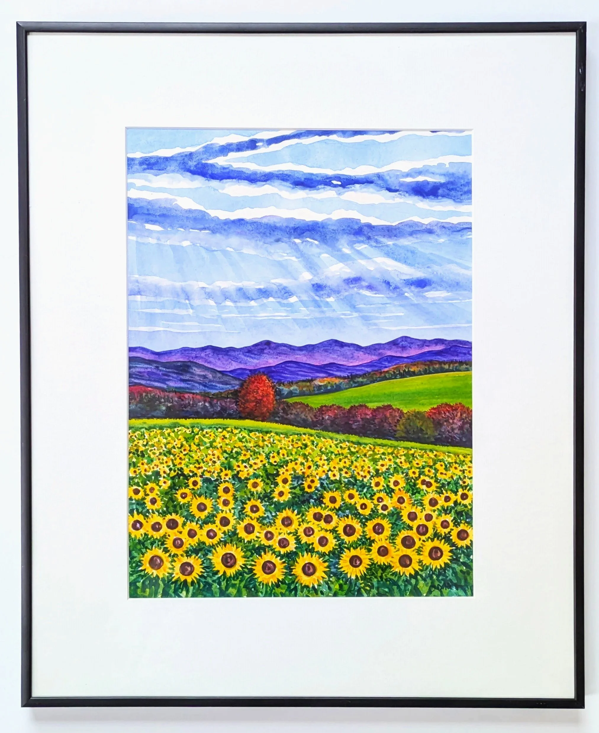 Sunflowers in Autumn