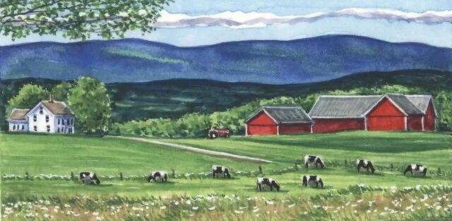 Summer%20in%20Vermont.jpg