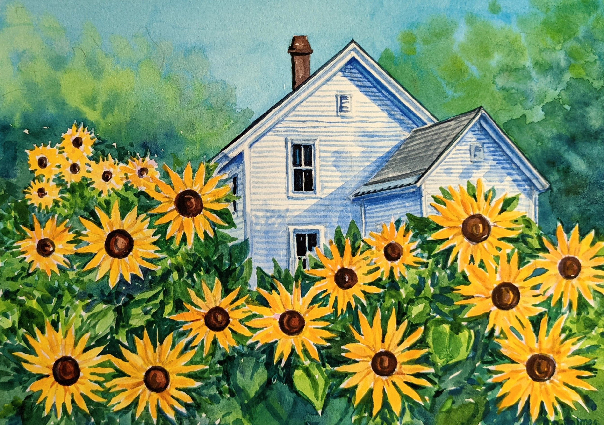 Sunflowers