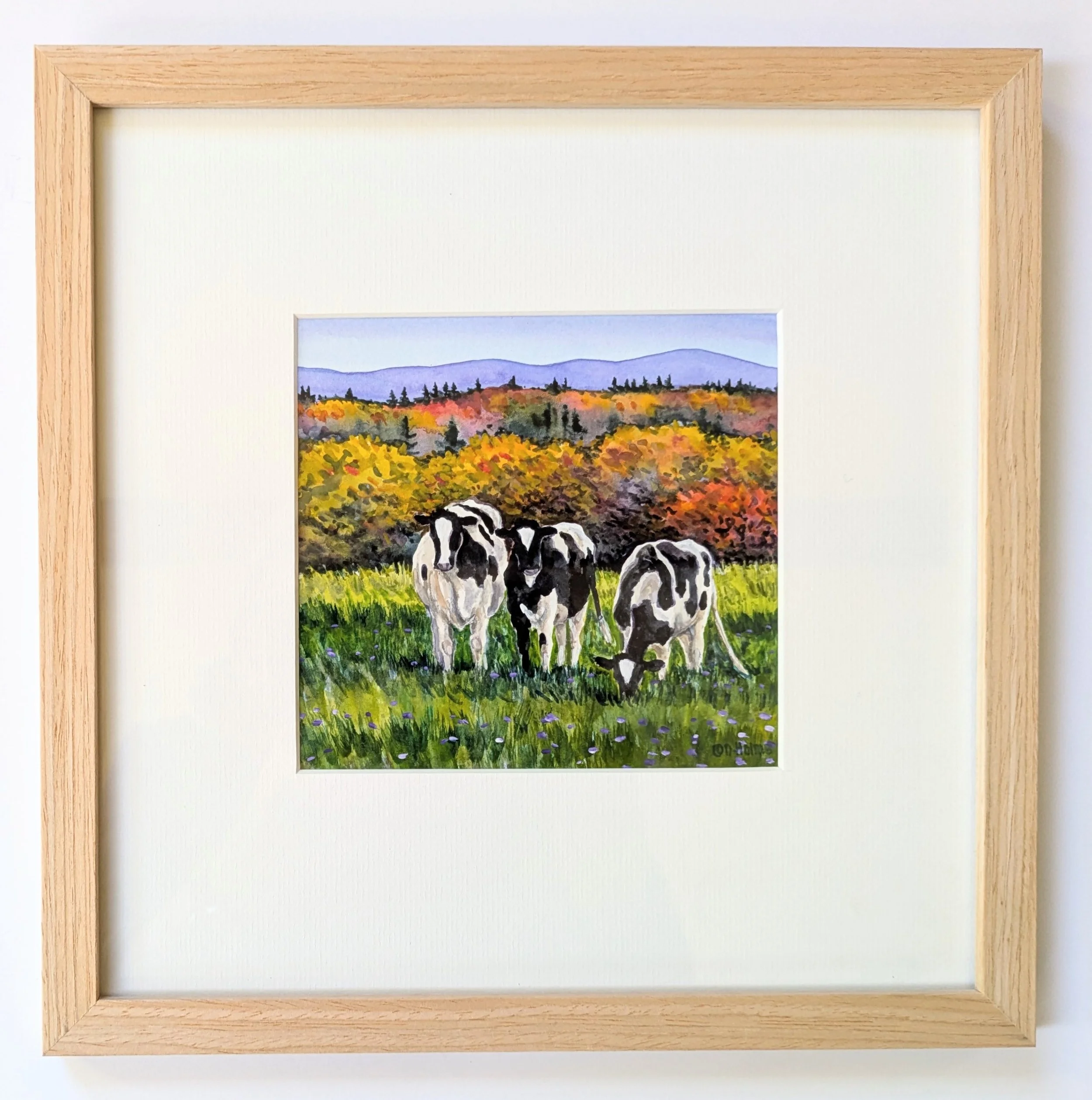 Three Holsteins