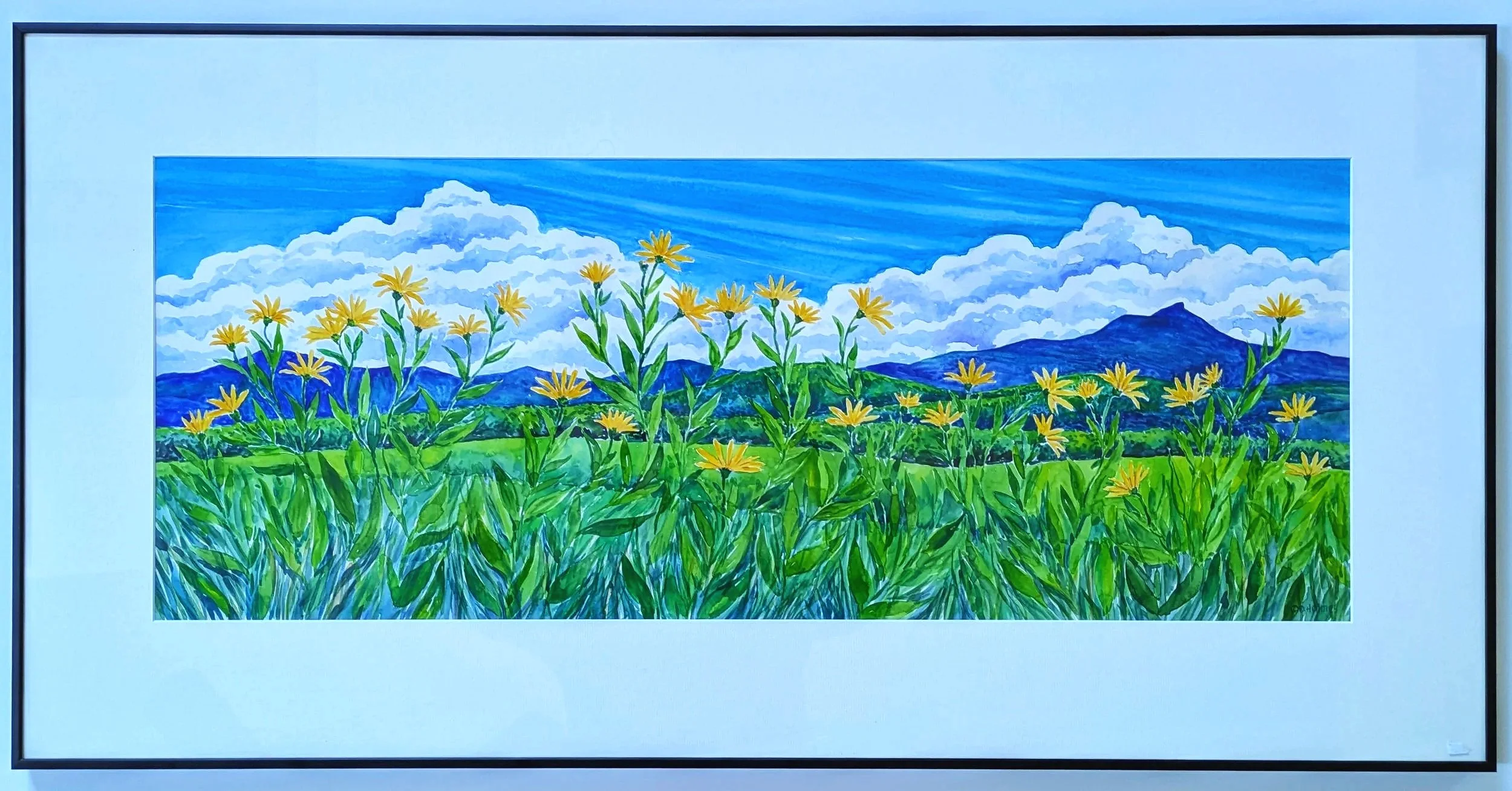 Camels+Hump+and+Yellow+Flowers.jpg