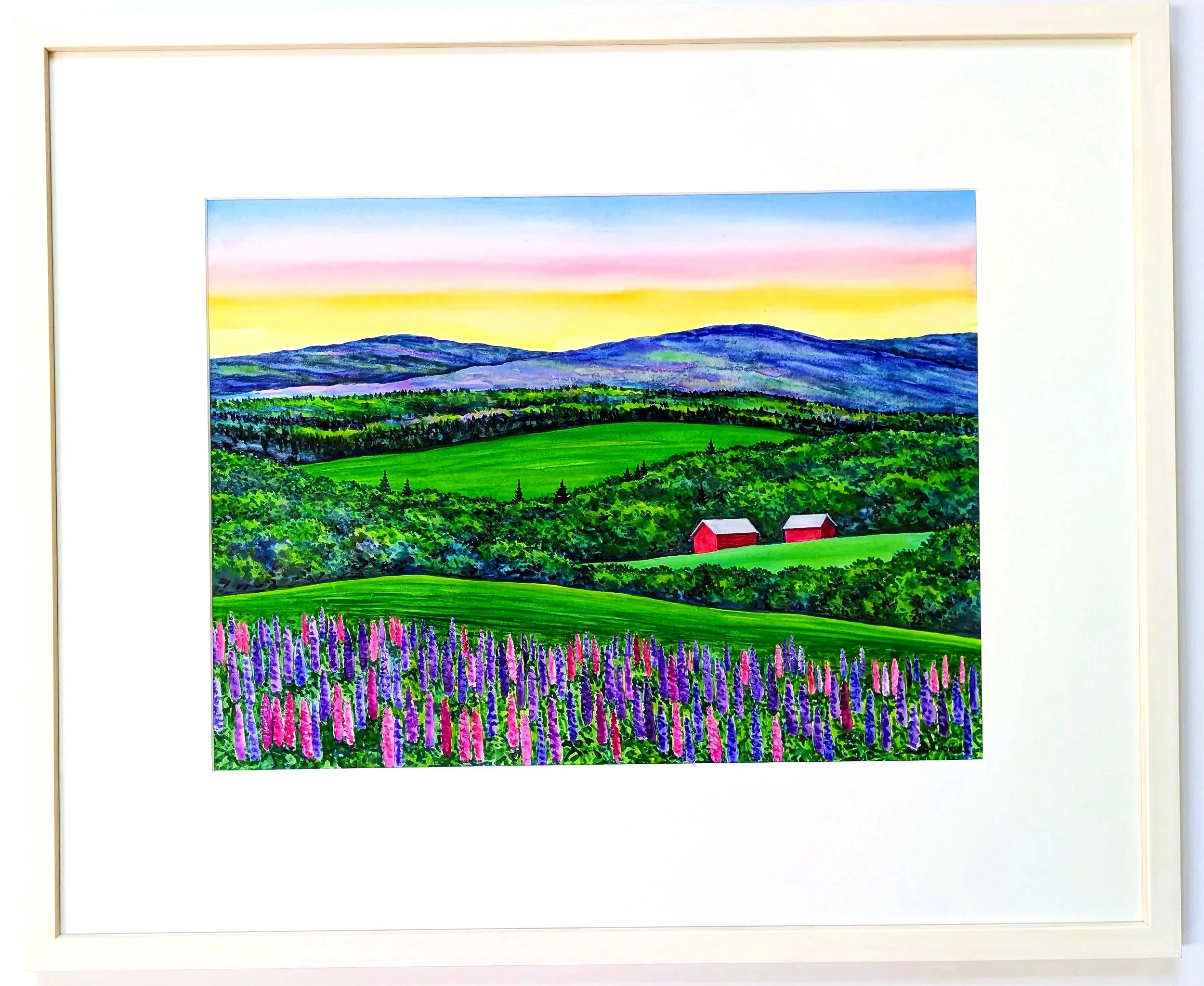 Twilight+Lupines.jpg