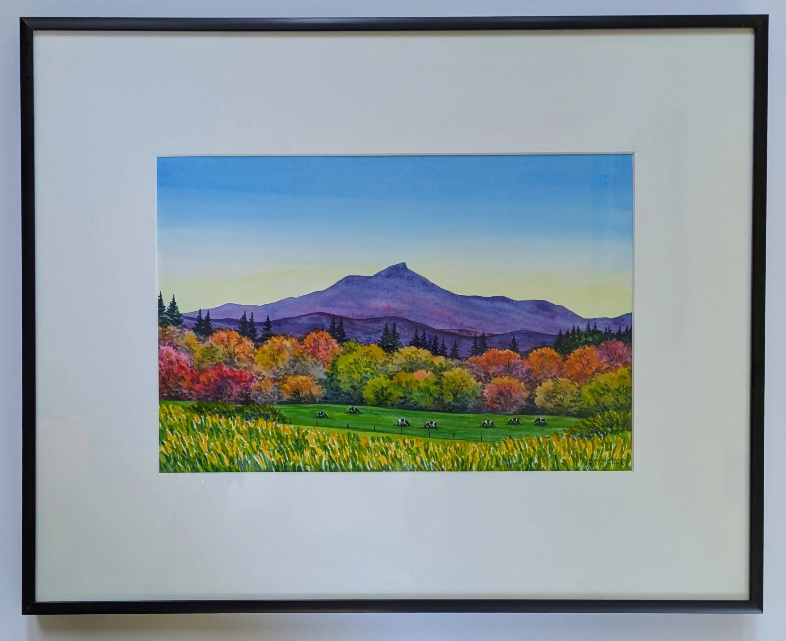 Camels Hump Autumn 2.jpg