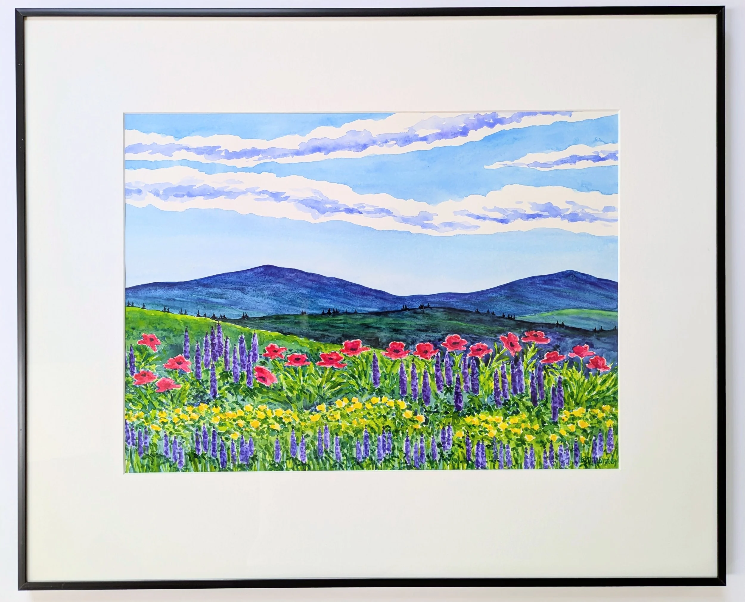 Summer Flowers