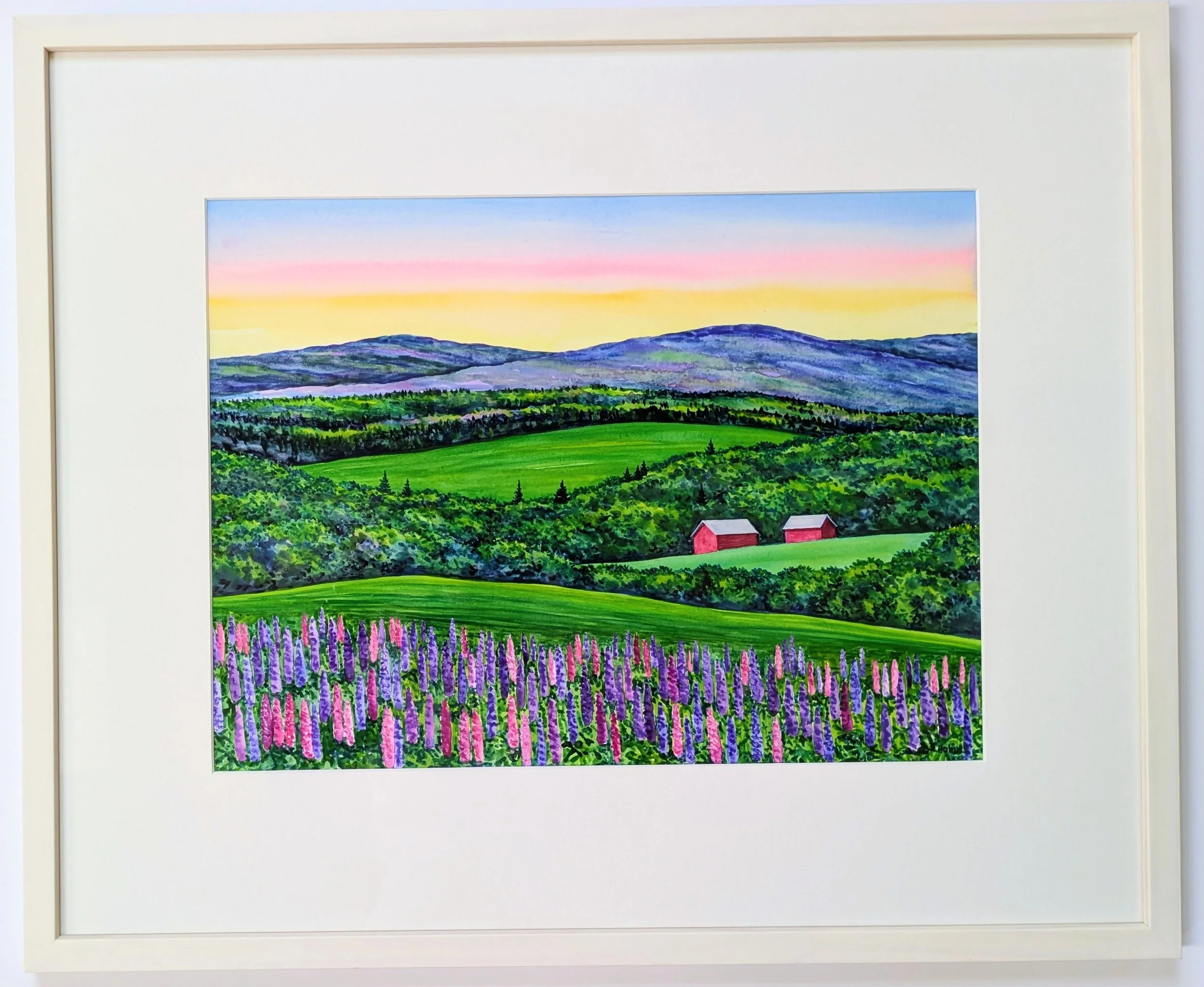 Twilight Lupines