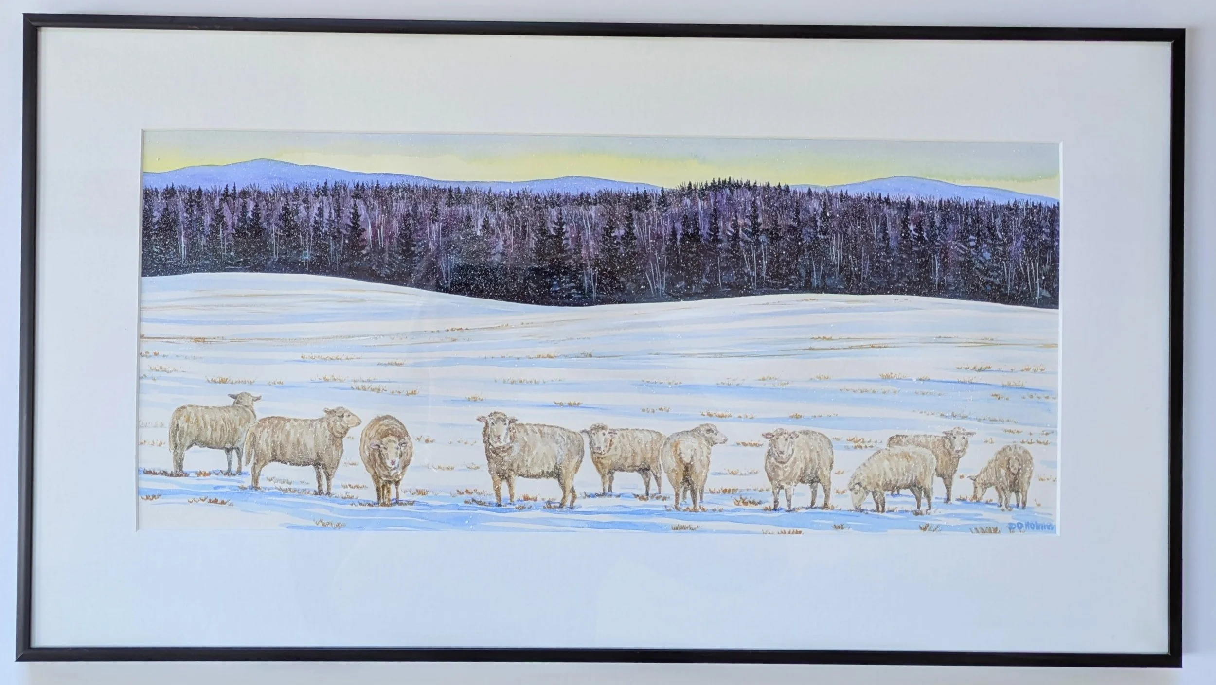 Sheep in Winter