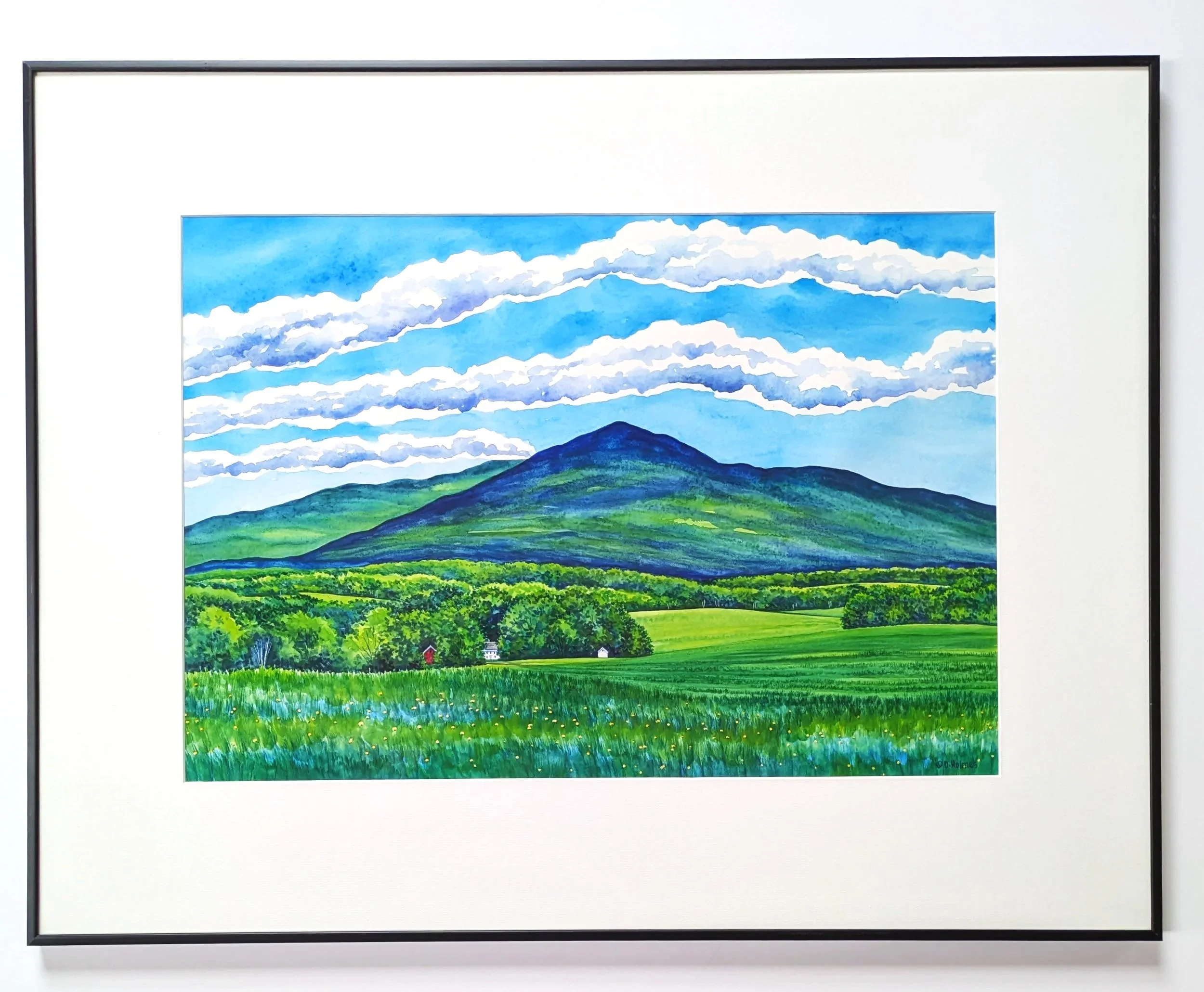 Summer in Vermont