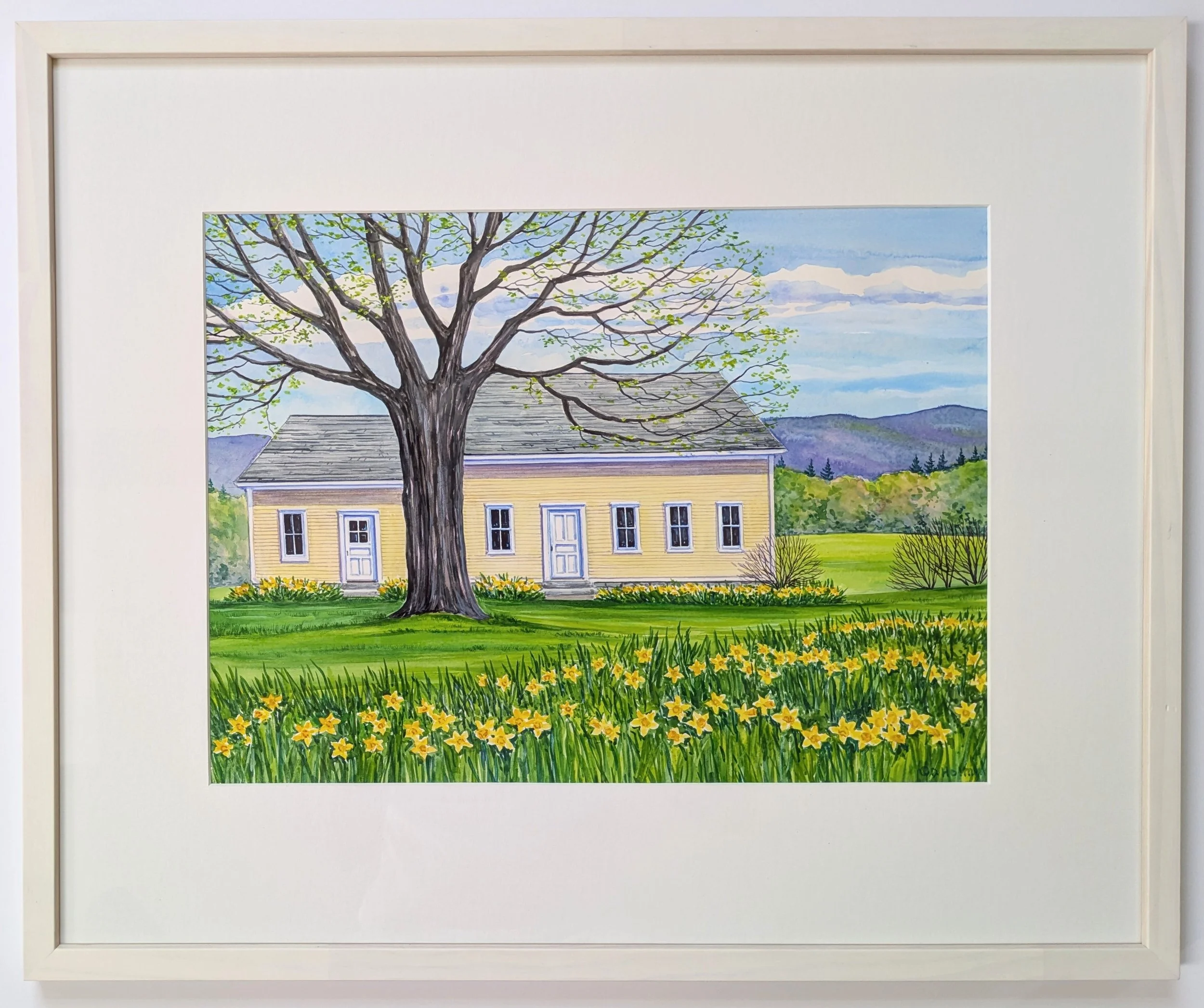 Daffodils in Springtime