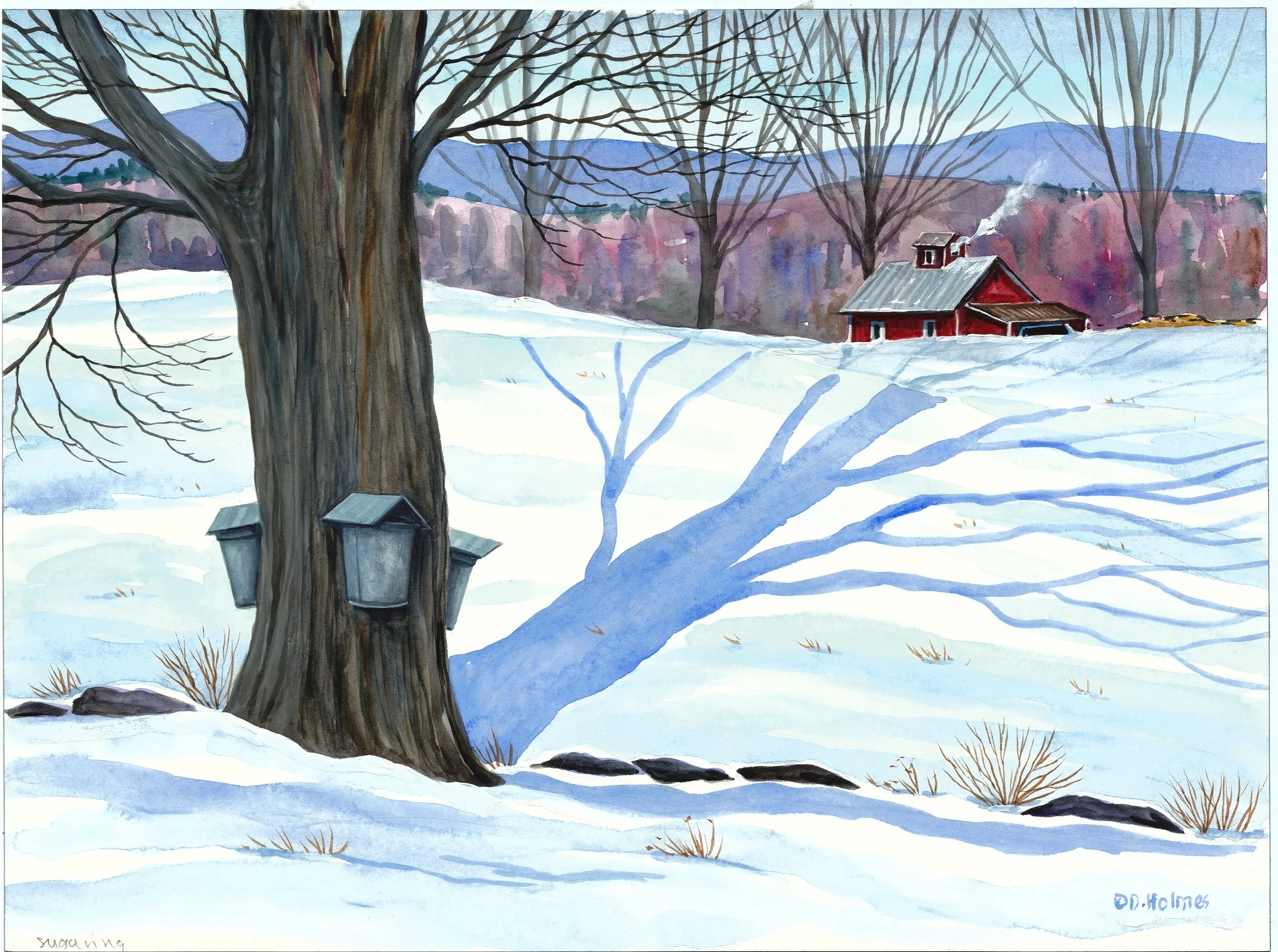 sugaring adjusted.jpg